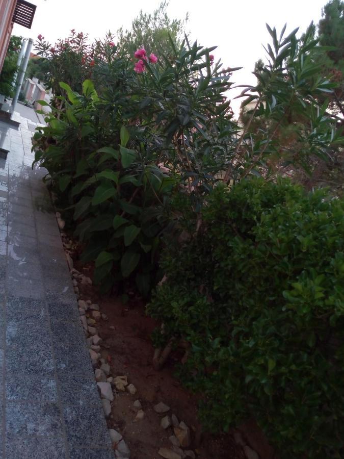 Appartamento Maslina Vir Esterno foto